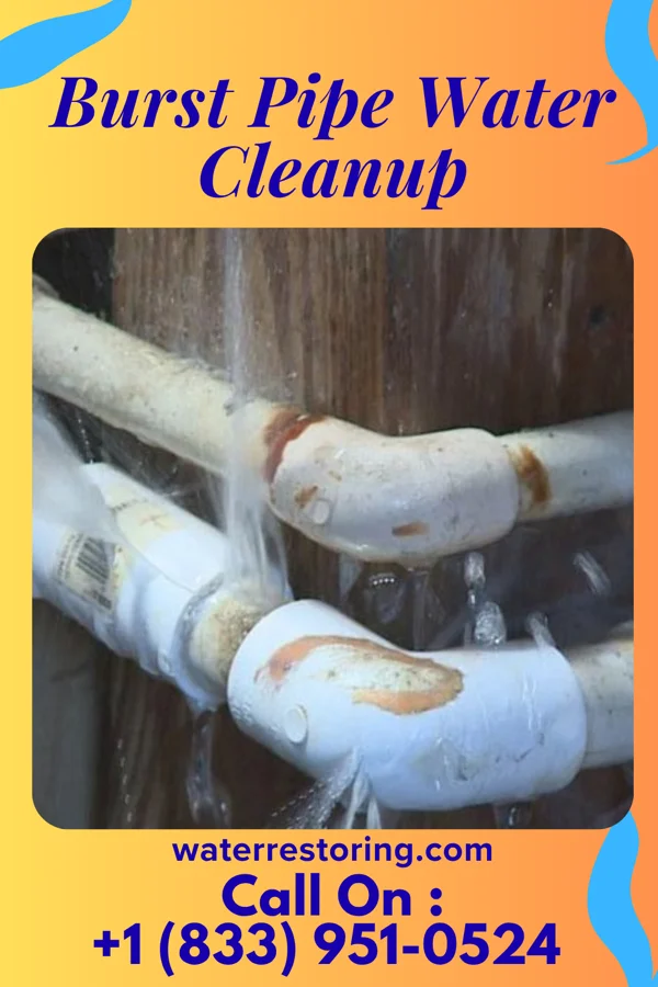 Burst Pipe Water Cleanup in Maywood, IL
