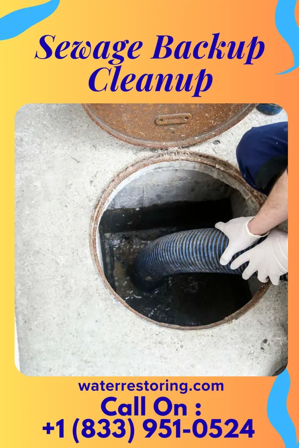 Sewage Backup Cleanup in Maywood, IL